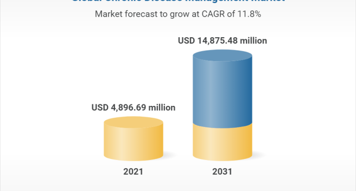 Chronic Disease Management Market By Type, By Disease Type, By End User ...